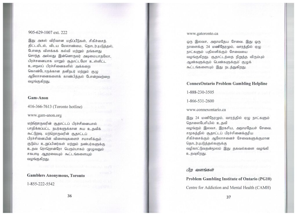 The Gambling Addiction Prevention Project