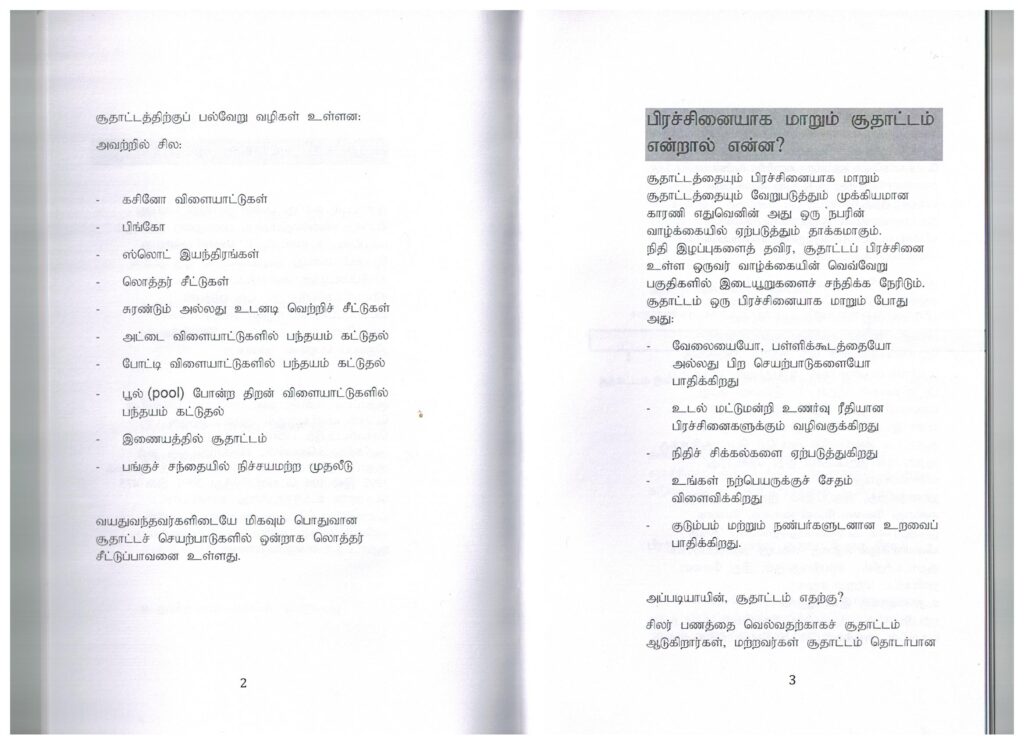 The Gambling Addiction Prevention Project